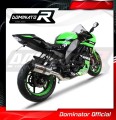 ZX10R Exhaust Cat Eliminator Catalyst Catalytic Converter Linkpipe Decat Downpipe  2008 - 2010 DOMINATOR 3