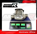 ZX10R Exhaust Cat Eliminator Catalyst Catalytic Converter Linkpipe Decat Downpipe  2008 - 2010 DOMINATOR 4