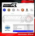Z900 Z 900 Homologated Exhaust Kawasaki Muffler Auspuff Sportauspuff Silencer Echappement Silencieux Scarico Scarichi Escape Wydech Tłumik GP 2017 - 2020 Dominator 4