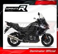 VERSYS 1000 Homologated Exhaust Kawasaki Muffler Auspuff Sportauspuff Silencer Echappement Silencieux Scarico Scarichi Escape Wydech Tłumik OVAL 2019 - 2021 Dominator 3