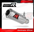 exhaust muffler DOMINATOR homologated road legal GP fits to YZF R1 1000 RN49 2017  2019 2