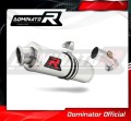 ER-6N ER-6F 650 EXHAUST Kawasaki Muffler Auspuff Sportauspuff Silencer Echappement Silencieux Scarico Scarichi Escape Wydech Tłumik OVAL 2009 - 2011 Dominator 1
