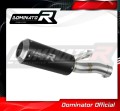 exhaust muffler DOMINATOR GP BLACK fits to BMW F900R 2020  2026 2