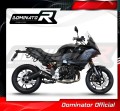 BMW F900R 2020 - 2021 EXHAUST Muffler Auspuff Sportauspuff Silencer Echappement Silencieux Scarico Scarichi Escape Wydech Tłumik GP BLACK DOMINATOR 3