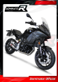 complete exhaust system with muffler DOMINATOR Full System GP fits to BMW F900XR 2020  2026 5