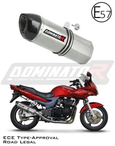 Kawasaki ZR7 / ZR7S 1999 - 2004 Homologuotas išmetimas Duslintuvas HP1