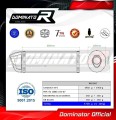 SV 1000 S EXHAUST Suzuki Muffler Auspuff Sportauspuff Silencer Echappement Silencieux Scarico Scarichi Escape Wydech Tłumik Carbon Tip HP1 2003 - 2007 Dominator 1