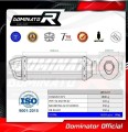 SV 650 N EXHAUST Suzuki Muffler Auspuff Sportauspuff Silencer Echappement Silencieux Scarico Scarichi Escape Wydech Tłumik Carbon Tip HP1 1999 - 2002 Dominator 1