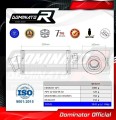 SV 650 N EXHAUST Suzuki Muffler Auspuff Sportauspuff Silencer Echappement Silencieux Scarico Scarichi Escape Wydech Tłumik GP 1 1999 - 2002 Dominator 1