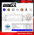 Pegaso 650 Exhaust Aprilia Muffler Auspuff Sportauspuff Silencer Echappement Silencieux Scarico Scarichi Escape OVAL 2001 - 2004 Dominator 3