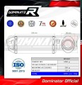 exhaust muffler DOMINATOR HP3 fits to Ducati Multistrada 1260 Enduro 2019  2020 5