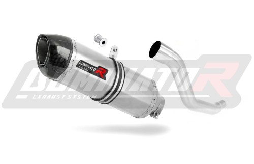 XF 650 Freewind EXHAUST Suzuki Muffler Auspuff Sportauspuff Silencer Echappement Silencieux Scarico Scarichi Escape Wydech Tłumik Carbon Tip HP1 1997 - 2003 Dominator   x