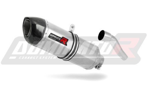 exhaust muffler DOMINATOR HP1 fits to Yamaha TZR 50  3