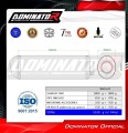 FMX 650 EXHAUST Honda Muffler Auspuff Sportauspuff Silencer Echappement Silencieux Scarico Scarichi Escape Wydech Tłumik OVR 2005 - 2009 Dominator  1
