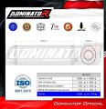 Pegaso 650 Exhaust Aprilia Muffler Auspuff Sportauspuff Silencer Echappement Silencieux Scarico Scarichi Escape OVR 2001 - 2004 Dominator  1