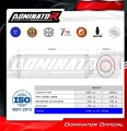 Tuono 1000 R Exhaust Aprilia Muffler Auspuff Sportauspuff Silencer Echappement Silencieux Scarico Scarichi Escape OVR 2006 - 2010 Dominator  1