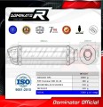 Dominar 400 Exhaust BAJAJ Muffler Auspuff Sportauspuff Silencer Echappement Silencieux Scarico Scarichi Escape Carbon Tip HP1 BLACK 2016-2018 Dominator  1
