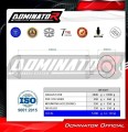 VTR 1000F FIRESTORM EXHAUST Honda Muffler Auspuff Sportauspuff Silencer Echappement Silencieux Scarico Scarichi Escape Wydech Tłumik OVR BL 2002 - 2006 Dominator 1