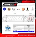 EXHAUST CF MOTO C Force 625 2016 - 2024 Muffler Auspuff Sportauspuff Silencer Echappement Silencieux Scarico Scarichi Escape Wydech Tłumik OKRĄGŁY Dominator 4