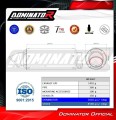 Yamaha Tenere 700 2021 - 2024 EXHAUST Muffler Auspuff Sportauspuff Silencer Echappement Silencieux Scarico Scarichi Escape GPF Black Dominator 4