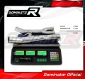 XJR 1300 Exhaust DOWN PIPE 1999 - 2008 DOMINATOR 3
