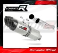 Pegaso 650 Exhaust Aprilia Muffler Auspuff Sportauspuff Silencer Echappement Silencieux Scarico Scarichi Escape Carbon Tip HP1 2001 - 2004 Dominator 1
