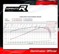GSX 1300 R GSXR HAYABUSA EXHAUST Suzuki Muffler Auspuff Sportauspuff Silencer Echappement Silencieux Scarico Scarichi Escape Wydech Tłumik Carbon Tip HP1 1999 - 2007 Dominator 2
