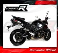 GSX 1300 B-KING EXHAUST Suzuki Muffler Auspuff Sportauspuff Silencer Echappement Silencieux Scarico Scarichi Escape Wydech Tłumik Carbon Tip HP1 2007 - 2012 Dominator 2